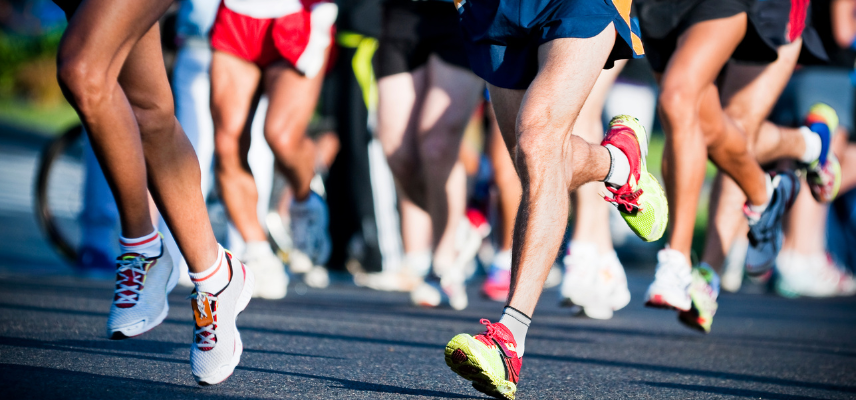 Course Locronan-Quimper : 200 professionnels s’y préparent !